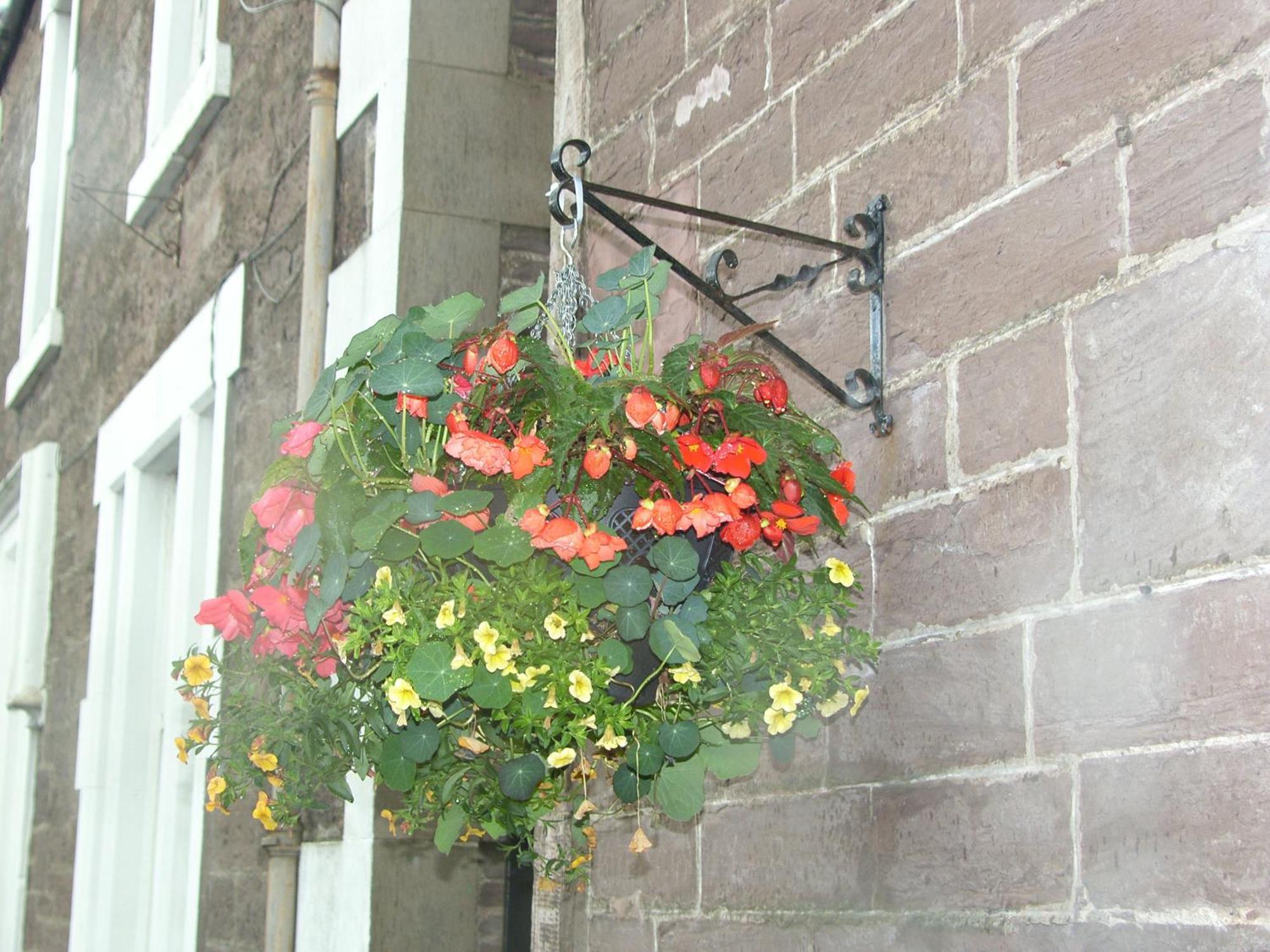 Comelybank Guesthouse Crieff Exteriör bild